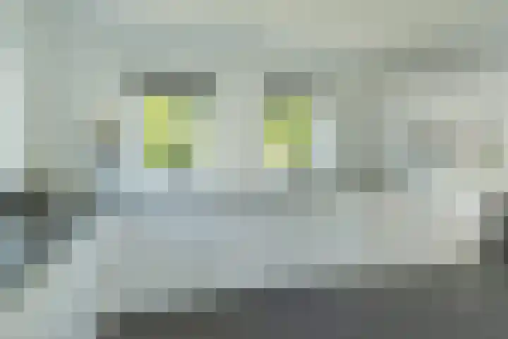 Bakkersdijk 28 e Rhoon thumbnail 22