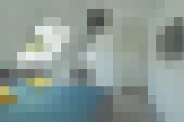 Bakkersdijk 28 e Rhoon thumbnail 35
