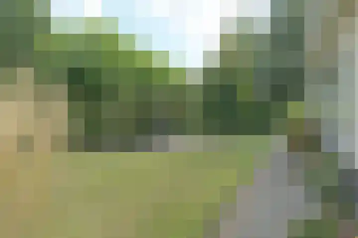 Bakkersdijk 28 e Rhoon thumbnail 45