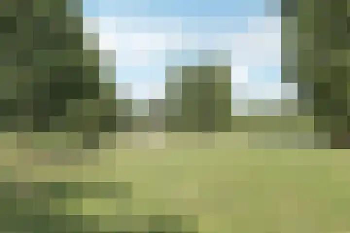 Bakkersdijk 28 e Rhoon thumbnail 49