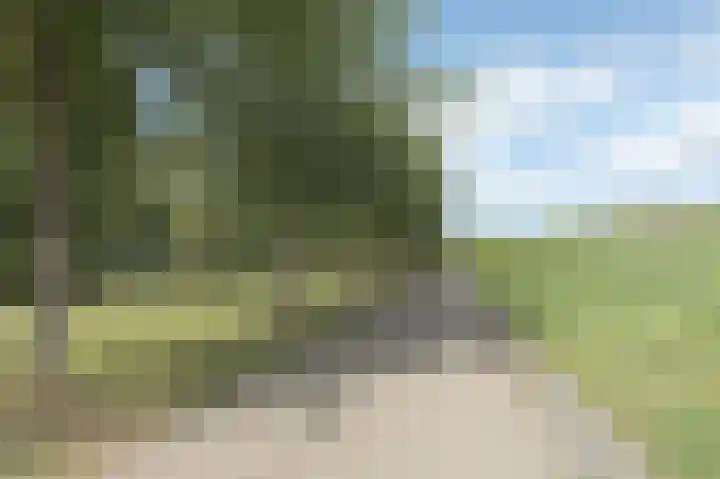 Bakkersdijk 28 e Rhoon thumbnail 50