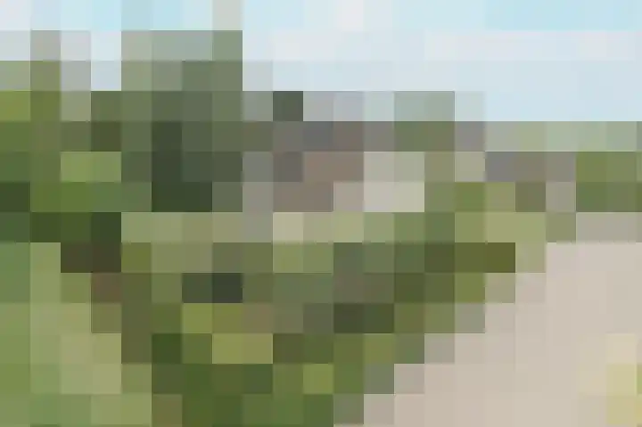 Bakkersdijk 28 e Rhoon thumbnail 7