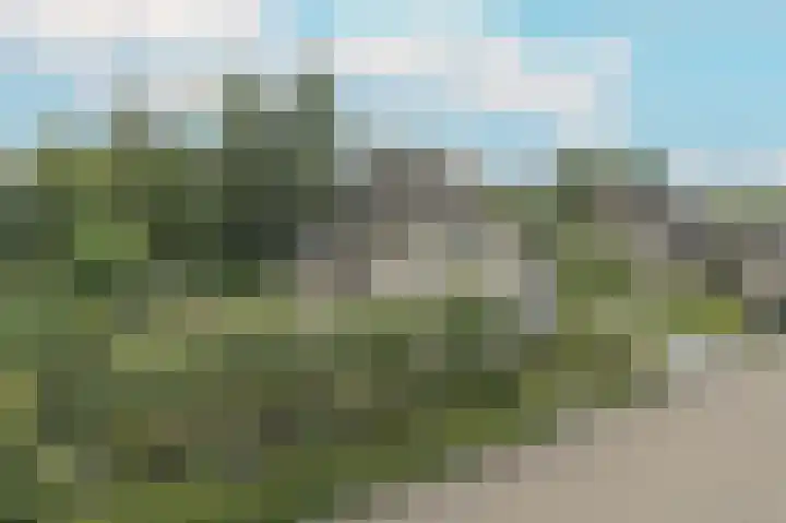 Bakkersdijk 28 e Rhoon thumbnail 8