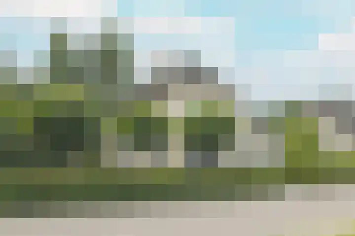 Bakkersdijk 28 e Rhoon thumbnail 9