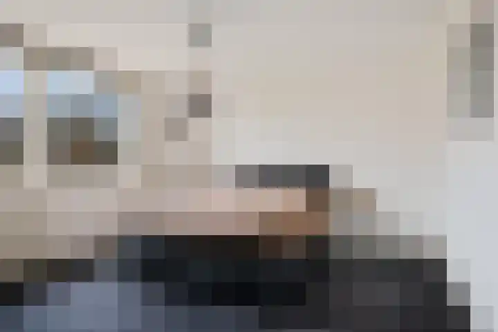 Bakkerskamp 46 Schalkhaar thumbnail 18