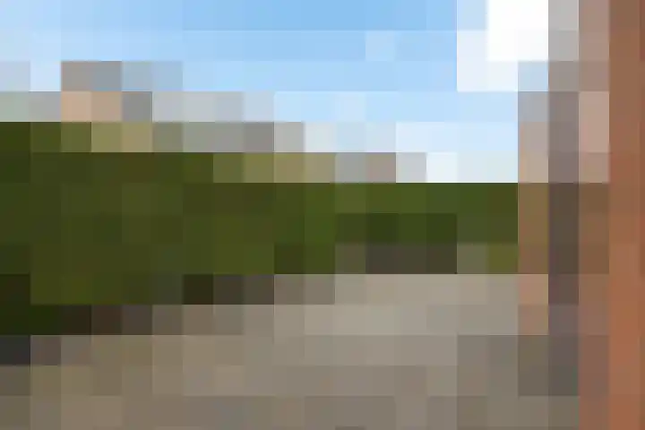 Bakkerskamp 46 Schalkhaar thumbnail 35