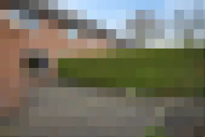 Bakkerskamp 46 Schalkhaar thumbnail 36