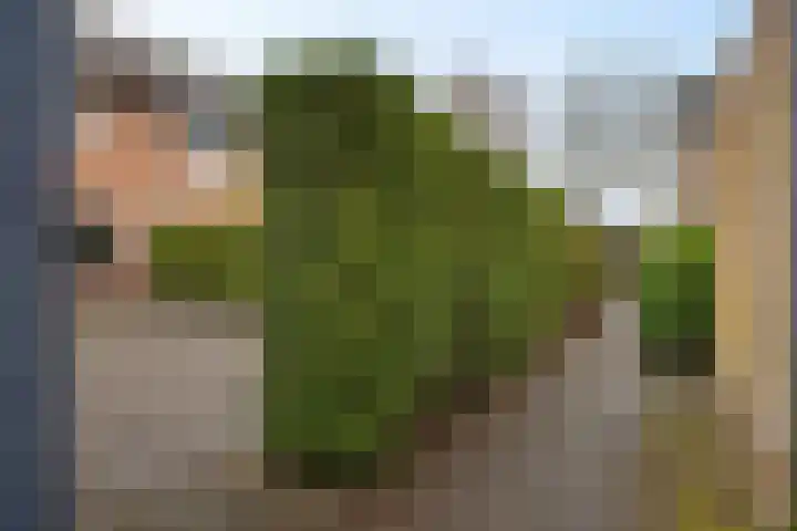 Bakkerskamp 46 Schalkhaar thumbnail 37