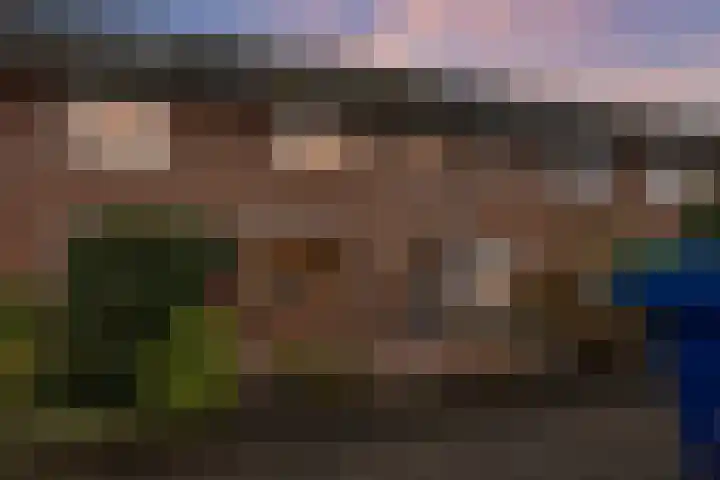 Bakkerskamp 46 Schalkhaar thumbnail 39