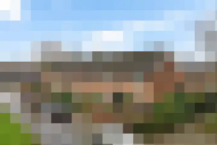 Bakkerskamp 46 Schalkhaar thumbnail 42