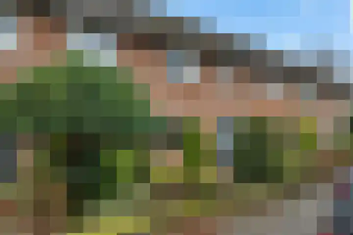 Bakkerskamp 46 Schalkhaar thumbnail 5