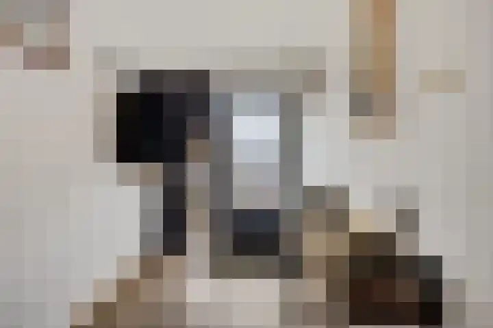 Bakkerskamp 46 Schalkhaar thumbnail 7