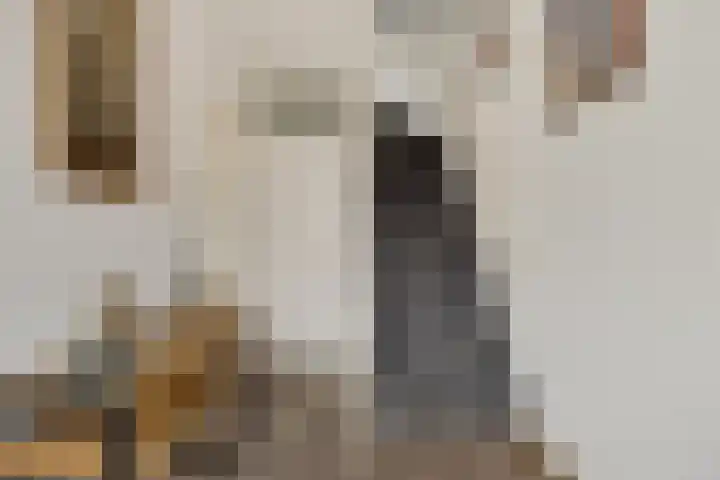 Bakkerskamp 46 Schalkhaar thumbnail 8