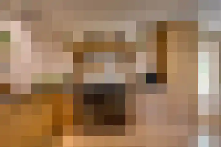 Bakkerskilweg 1 Werkendam thumbnail 20