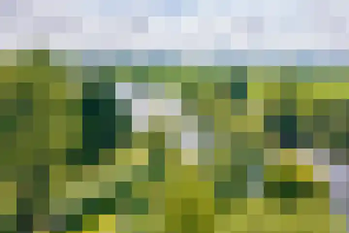 Bakkerskilweg 1 Werkendam thumbnail 43