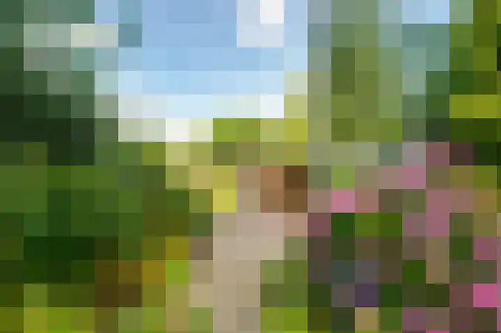 Bakkerskilweg 1 Werkendam thumbnail 46