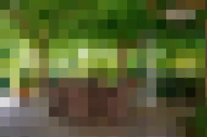Bakkerskilweg 1 Werkendam thumbnail 47