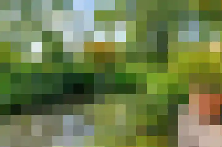Bakkerskilweg 1 Werkendam thumbnail 49