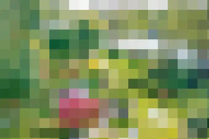 Bakkerskilweg 1 Werkendam thumbnail 50