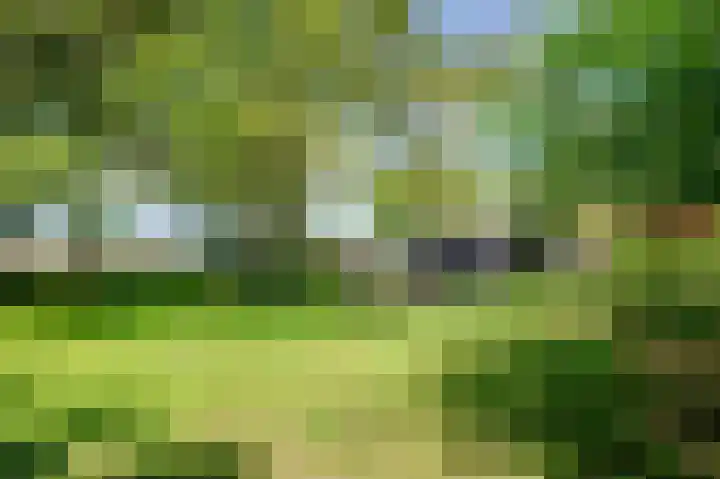 Bakkerskilweg 1 Werkendam thumbnail 56