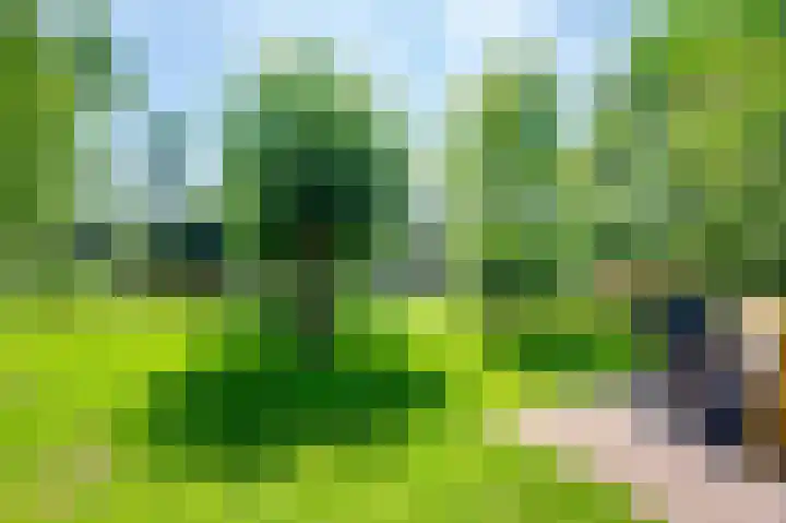 Bakkerskilweg 1 Werkendam thumbnail 57