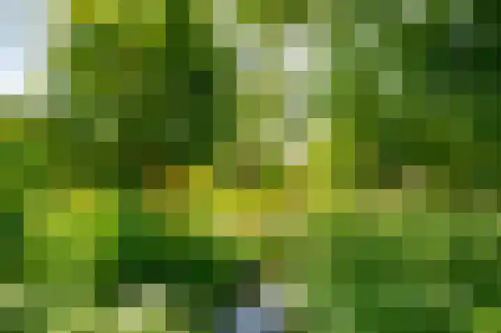 Bakkerskilweg 1 Werkendam thumbnail 59
