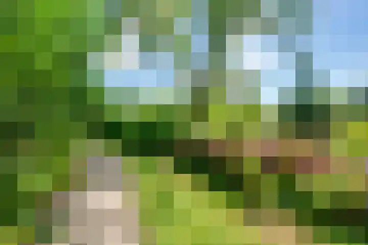 Bakkerskilweg 1 Werkendam thumbnail 64