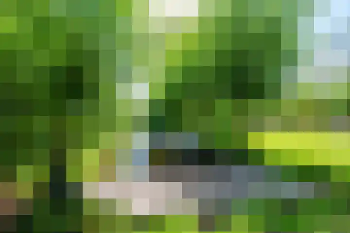 Bakkerskilweg 1 Werkendam thumbnail 66