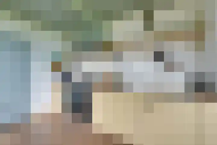 Bakkerspad 8 Markenbinnen thumbnail 14