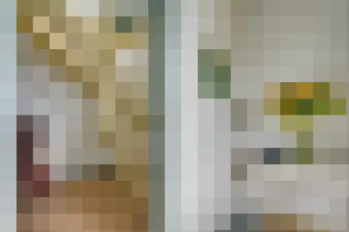Bakkerspad 8 Markenbinnen thumbnail 27
