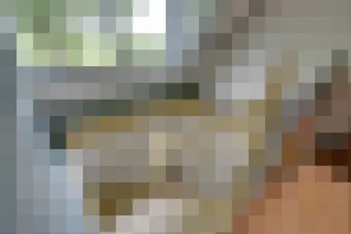 Bakkerspad 8 Markenbinnen thumbnail 28