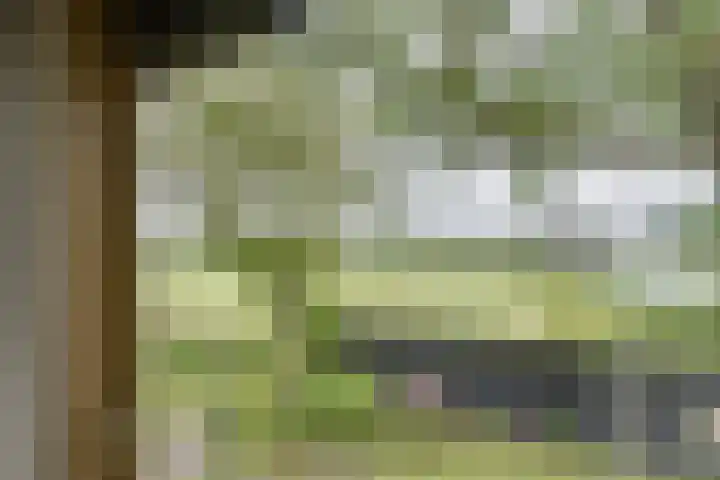 Bakkerspad 8 Markenbinnen thumbnail 39