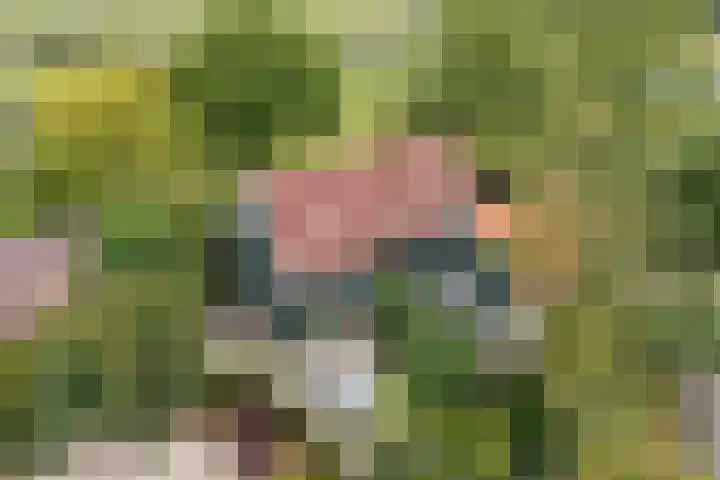 Bakkerspad 8 Markenbinnen thumbnail 4