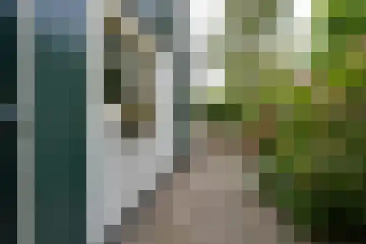 Bakkerspad 8 Markenbinnen thumbnail 53