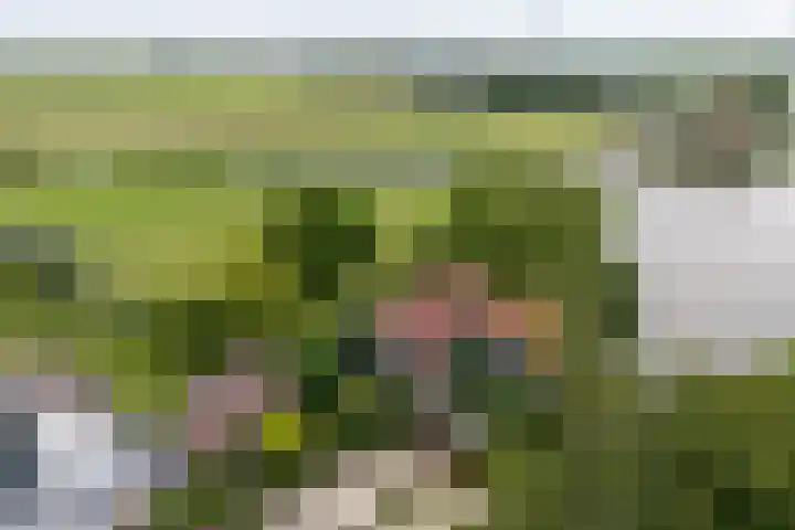 Bakkerspad 8 Markenbinnen thumbnail 54