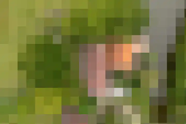Bakkerspad 8 Markenbinnen thumbnail 55
