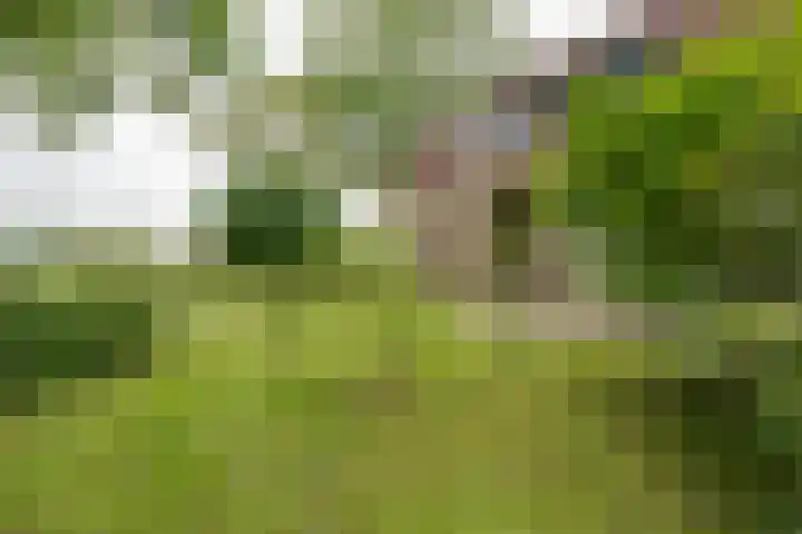 Bakkerspad 8 Markenbinnen thumbnail 56