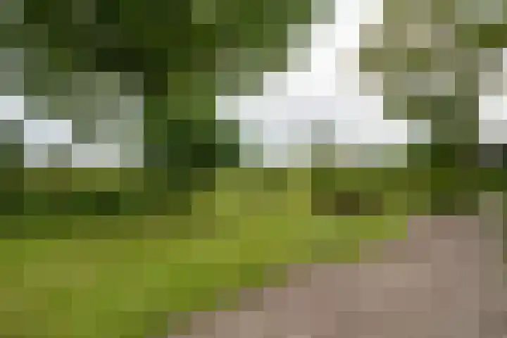 Bakkerspad 8 Markenbinnen thumbnail 57