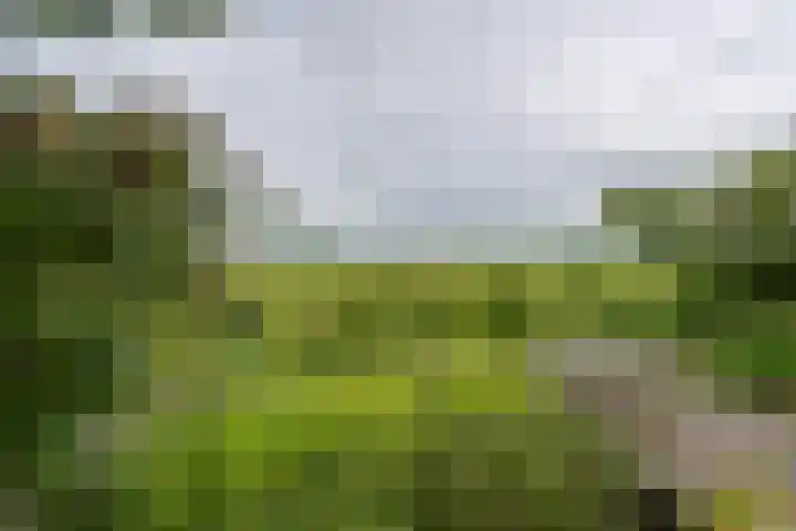 Bakkerspad 8 Markenbinnen thumbnail 59