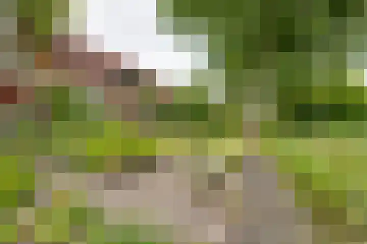 Bakkerspad 8 Markenbinnen thumbnail 60