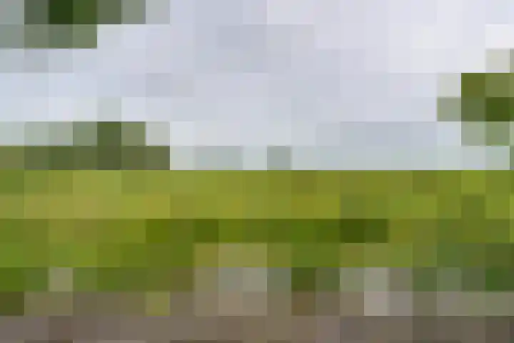 Bakkerspad 8 Markenbinnen thumbnail 61