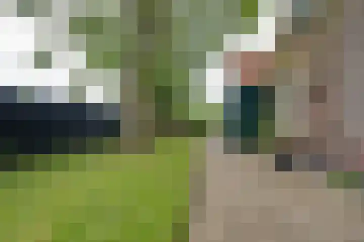Bakkerspad 8 Markenbinnen thumbnail 62
