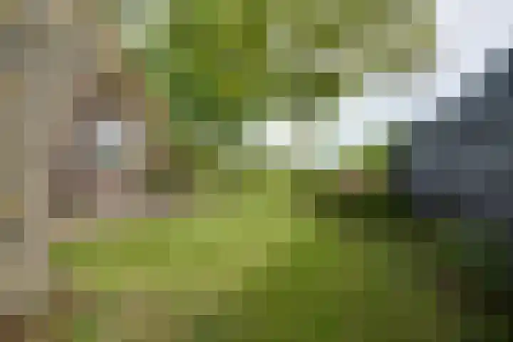 Bakkerspad 8 Markenbinnen thumbnail 64