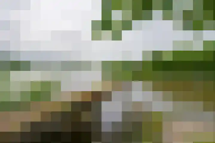 Bakkerspad 8 Markenbinnen thumbnail 65