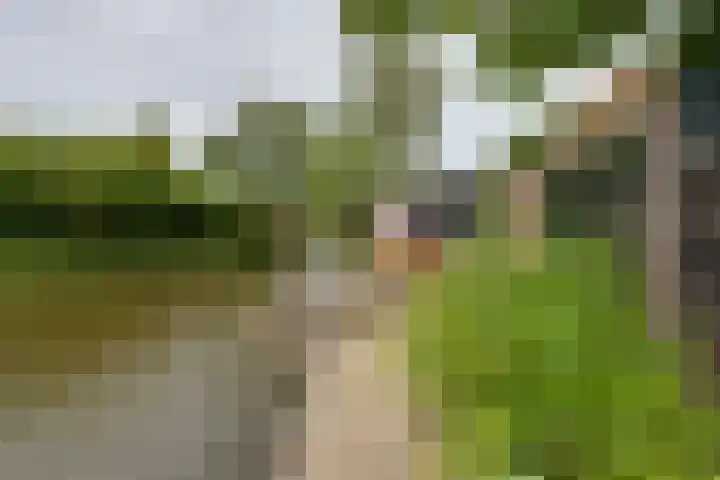Bakkerspad 8 Markenbinnen thumbnail 67