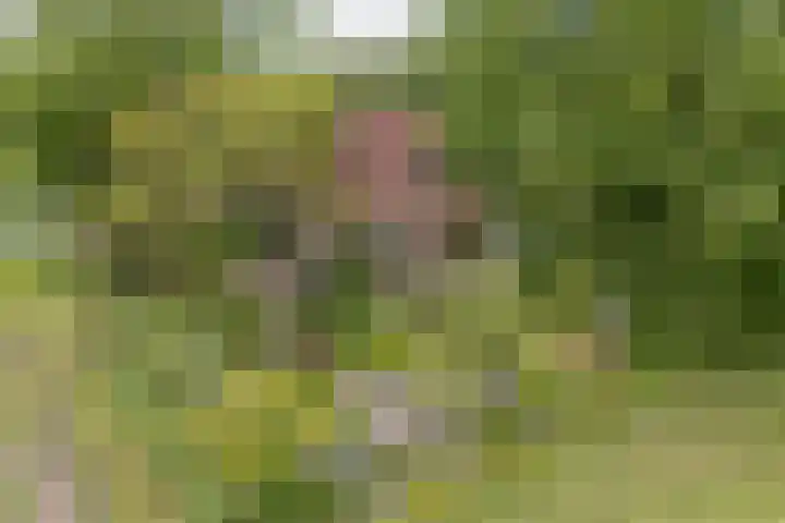 Bakkerspad 8 Markenbinnen thumbnail 69