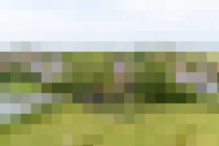 Bakkerspad 8 Markenbinnen thumbnail 70