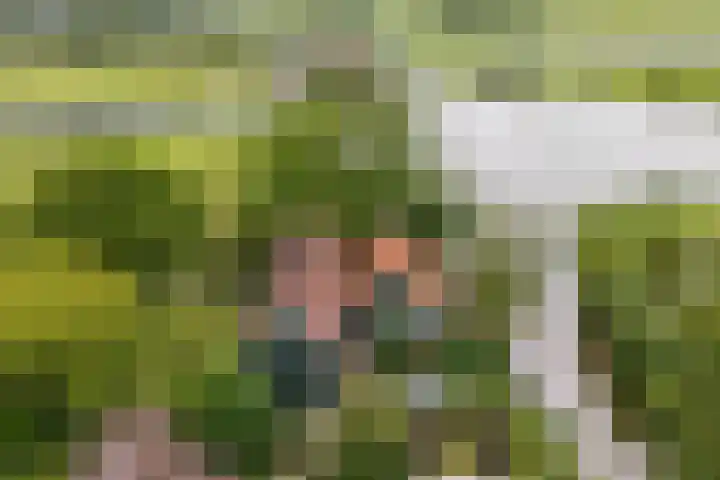 Bakkerspad 8 Markenbinnen thumbnail 77