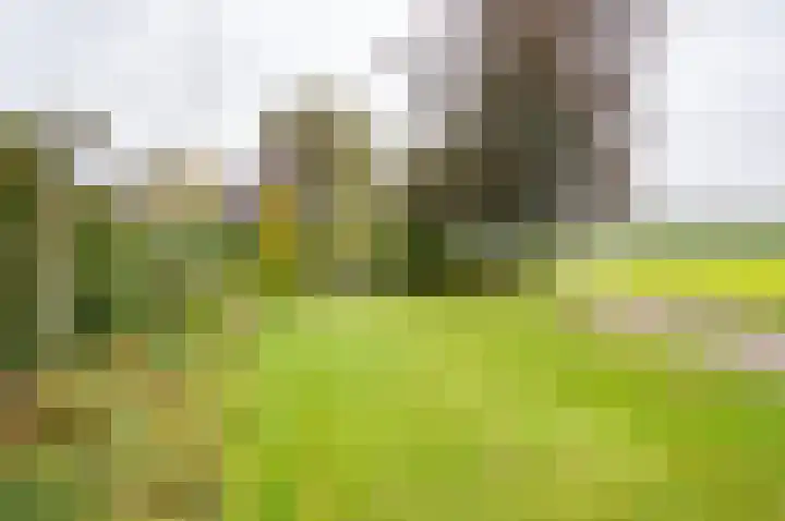 Bakkersteeg 7 Almen thumbnail 11
