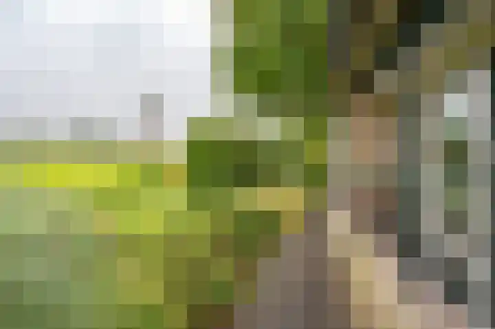 Bakkersteeg 7 Almen thumbnail 13